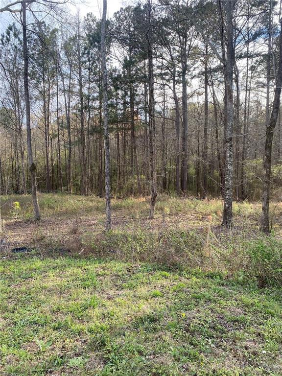 190 Chapel Heights Way Covington, GA 30016 - Photo 10 of 13