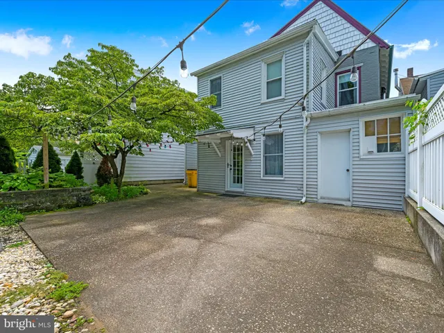 a view of a garden with plants