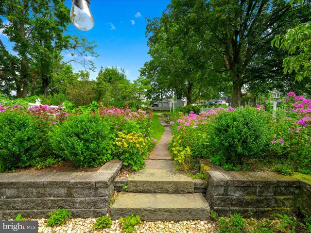 a view of a flower in a garden