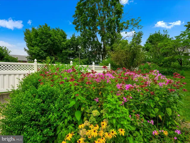 a view of a flower in a garden