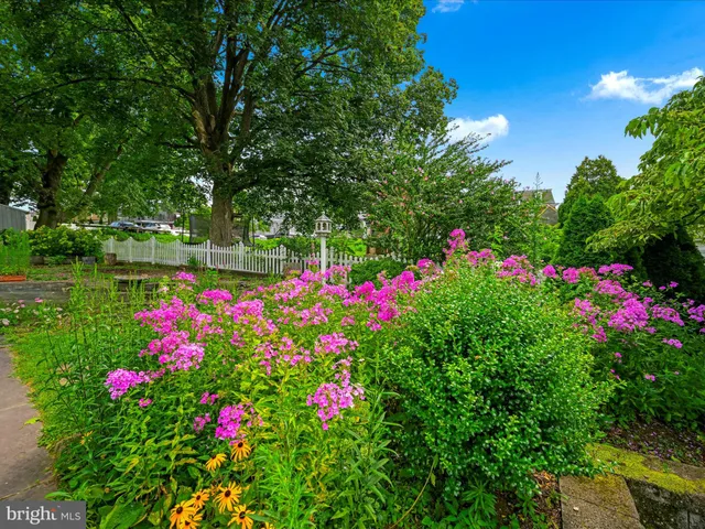 a view of flowers in bunch