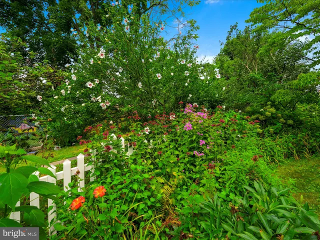 a front view of a house with a yard and potted plants