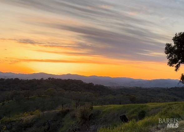 9110 Chalk Hill Road Healdsburg, CA 95448 - Photo 57 of 59