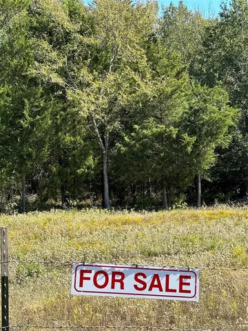 a view of a swimming pool with a house