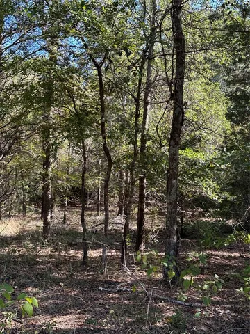 a view of lake and mountain view