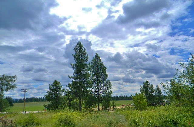 39919 North Division Road Deer Park, WA 99006 - Photo 14 of 20 Gallery Image 14