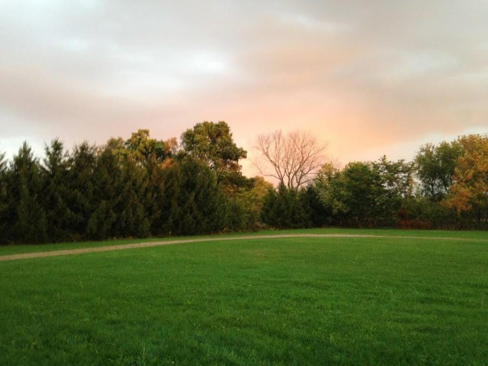3861 Five Mile Road South Lyon, MI 48178 - Photo 7 of 10 Photo 7