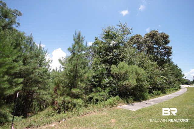 0 Dolive Ridge Daphne, AL 36527 - Photo 2 of 4