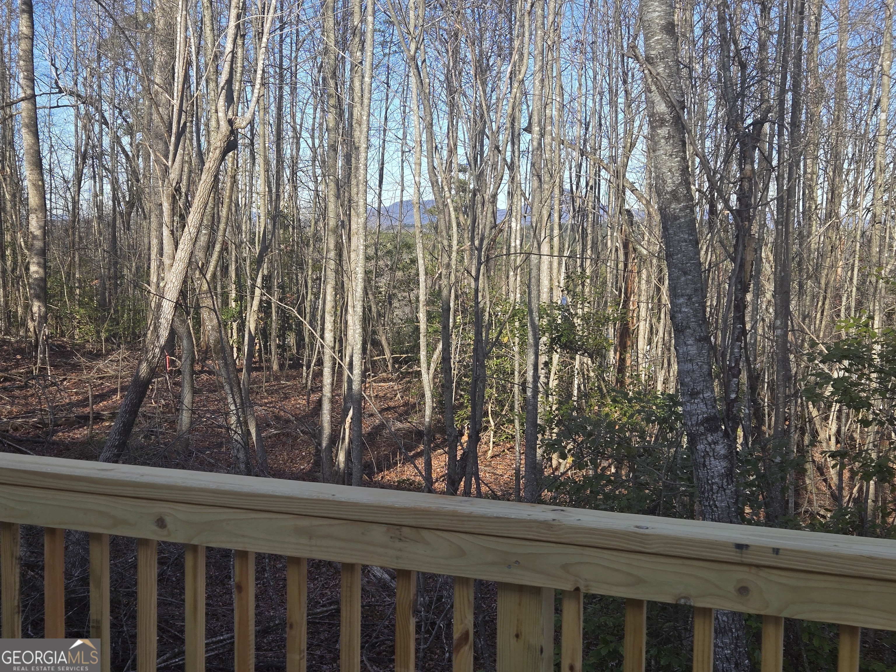 2994 Cannon Bridge Road Demorest, GA 30535 - Photo 33 of 36 a view of a wooden floor and a tree