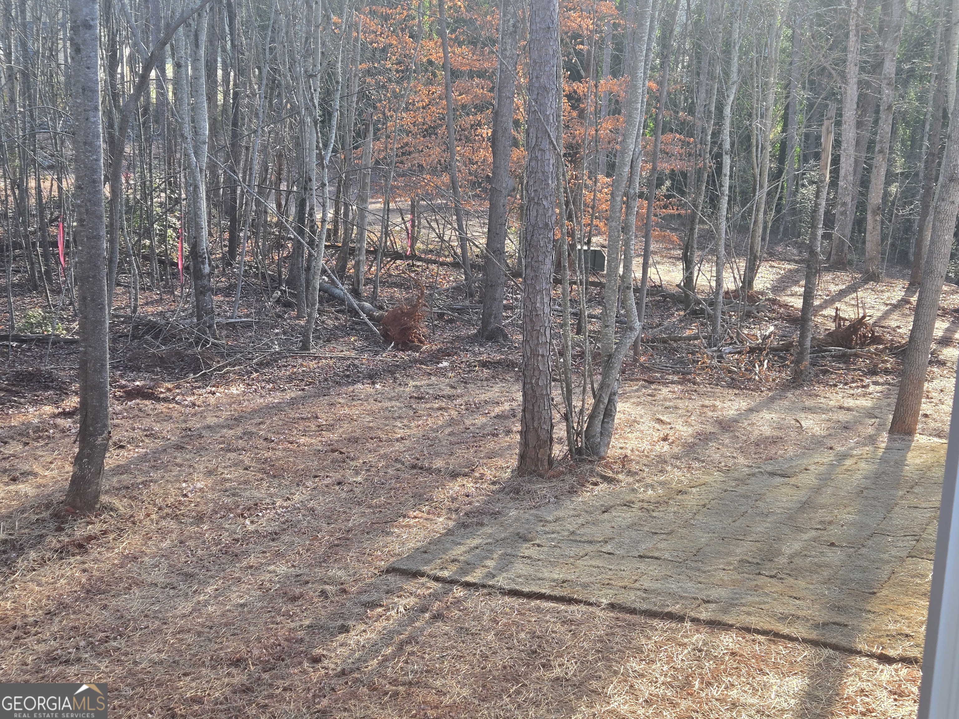 2994 Cannon Bridge Road Demorest, GA 30535 - Photo 35 of 36 a view of a forest with trees