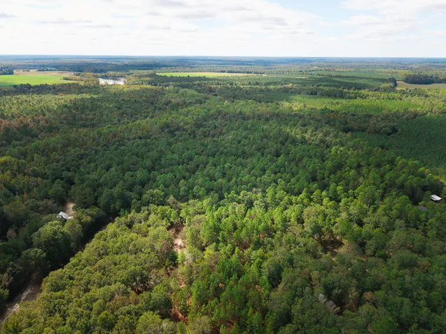 $99,000 | 0 South 23rd Highway, Waynesboro, GA 30830