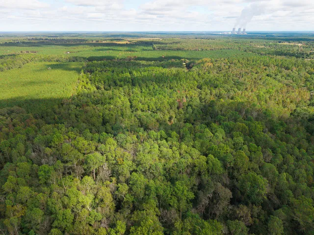 $99,000 | 0 South 23rd Highway, Waynesboro, GA 30830