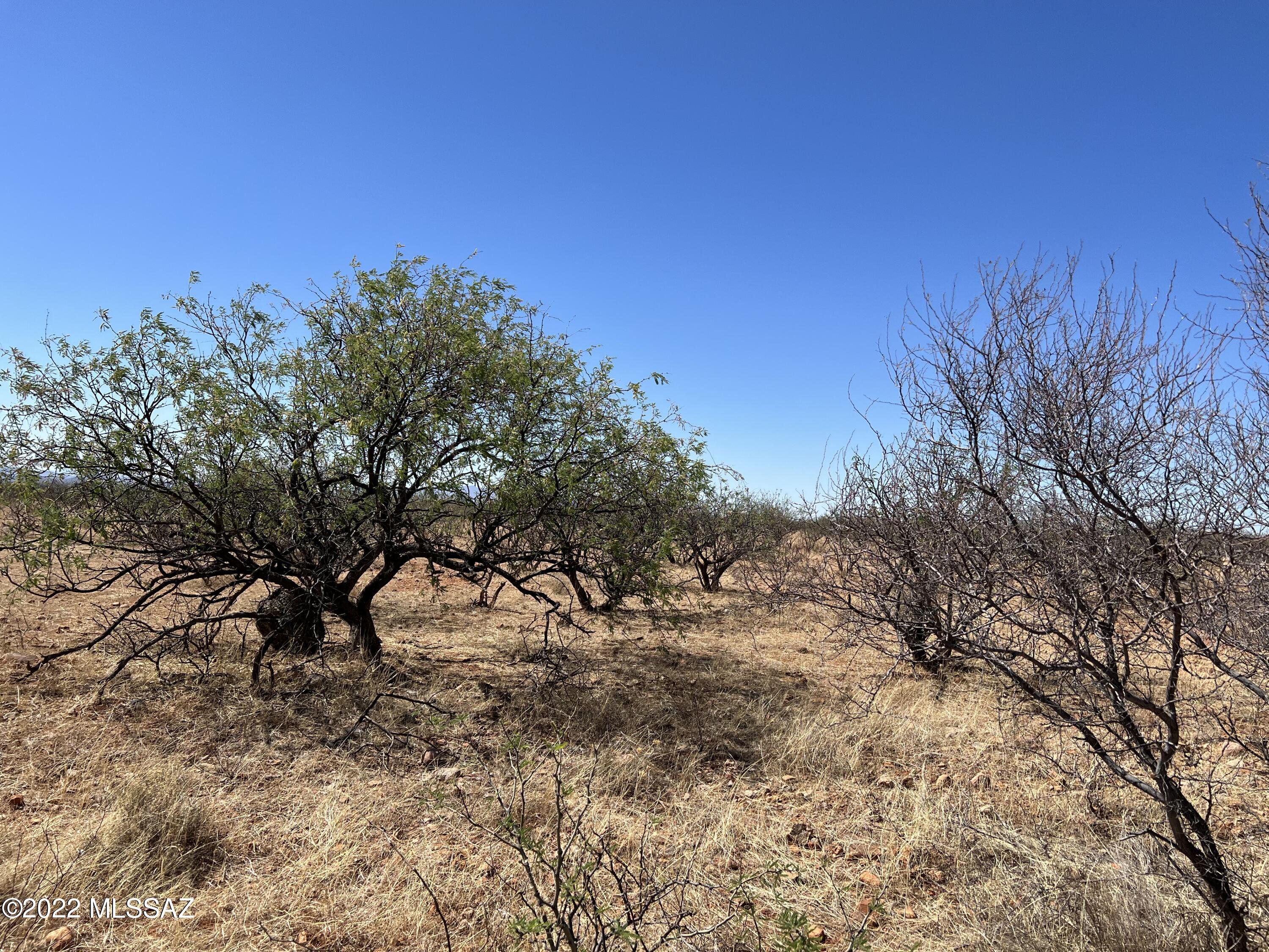 Tbd Camino Nacozari, Unit 46B Rio Rico, AZ 85648 - Photo 1 of 4