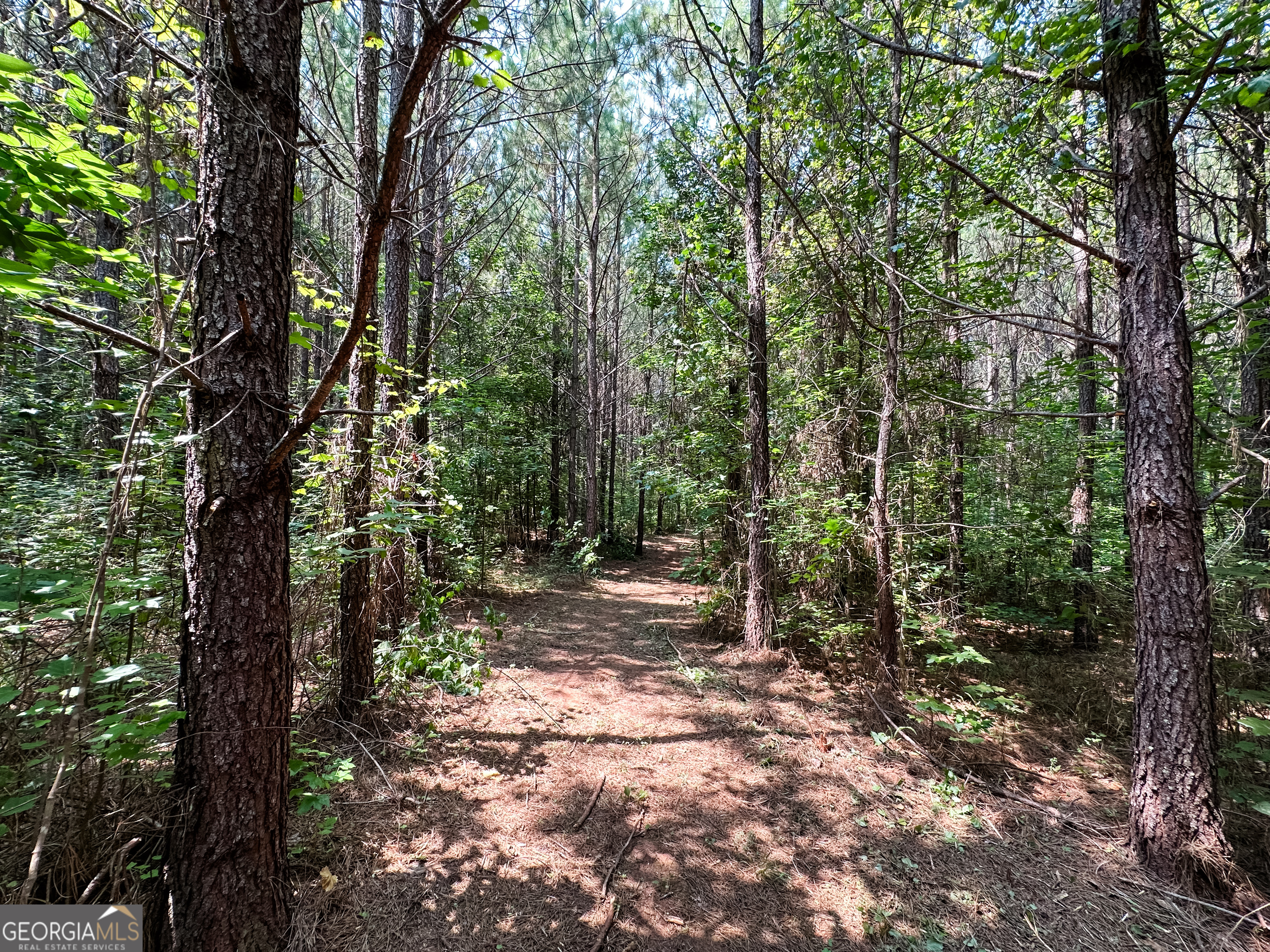 0 Jordan Road, Unit 17 79 ACRES Monticello, GA 31064 - Photo 25 of 38 Gallery Image 25