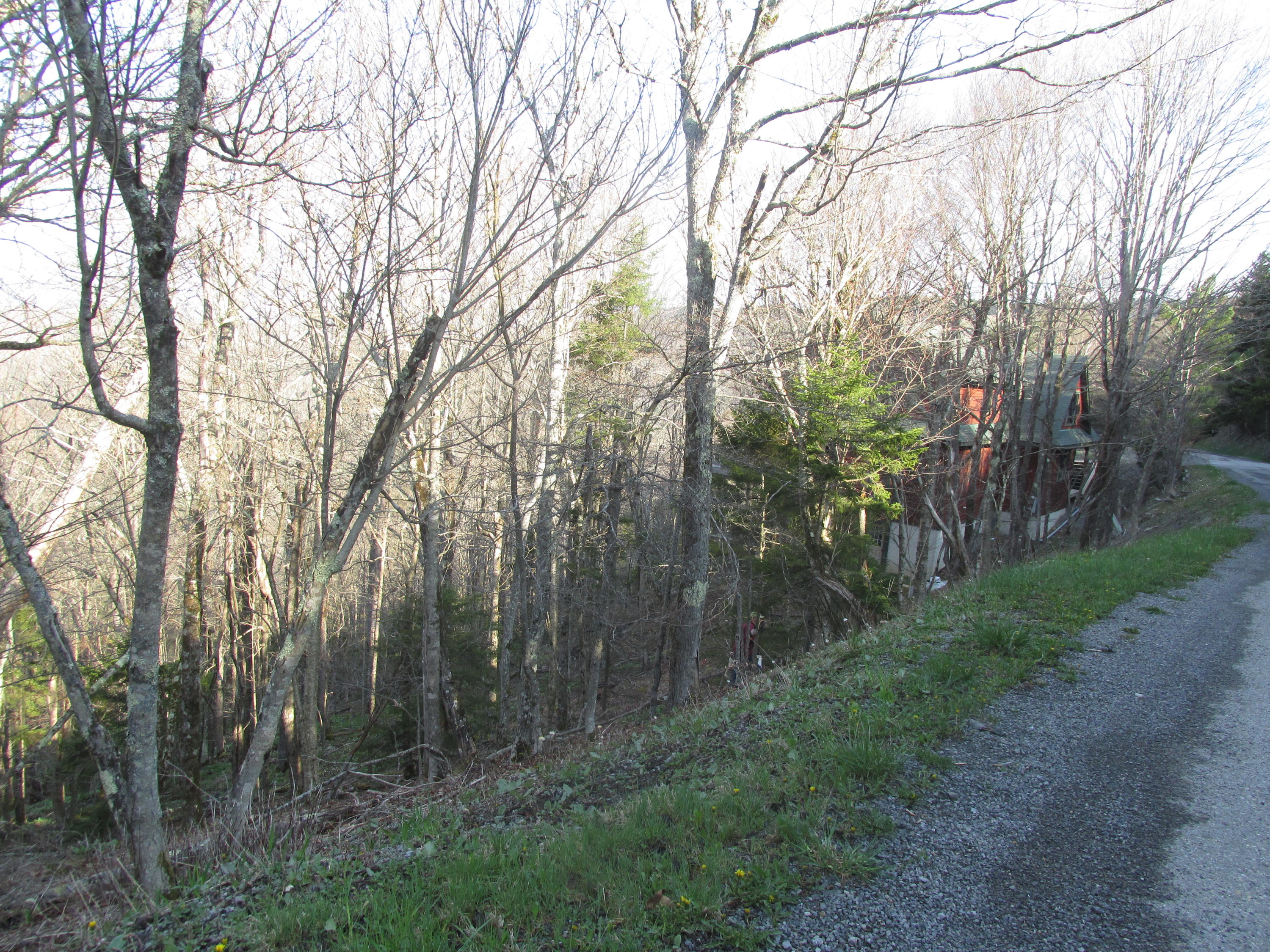 25 West Ridge Snowshoe, WV 26209 - Photo 2 of 7 Gallery Image 2