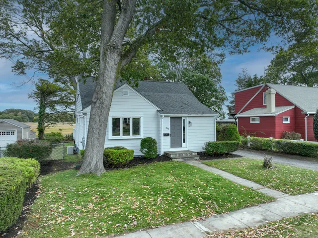 a view of a yard in front of a house with plants and large tree