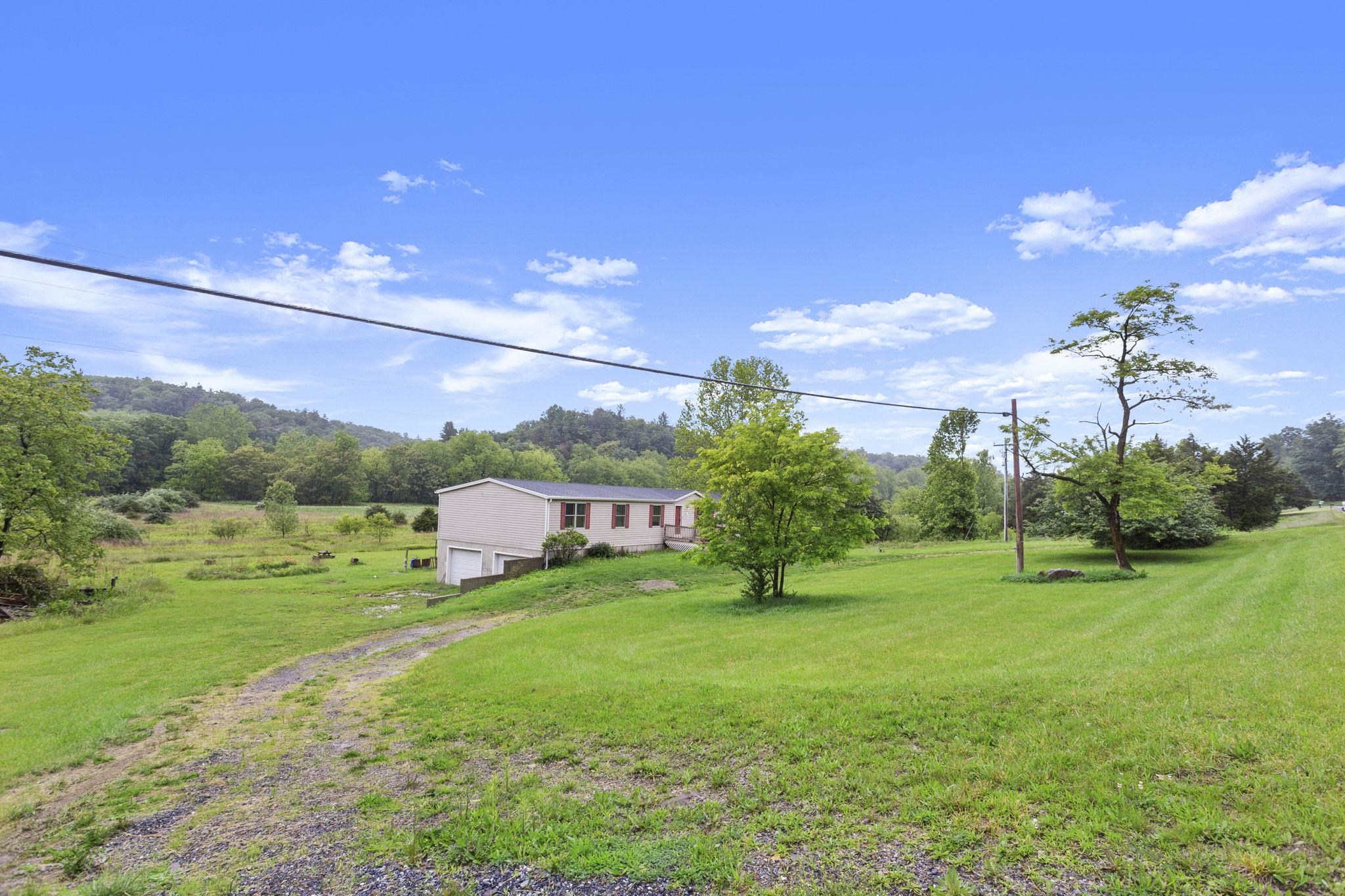 14623 Runions Creek Road Broadway, VA 22815 - Photo 27 of 30 a view of a big yard with a large tree