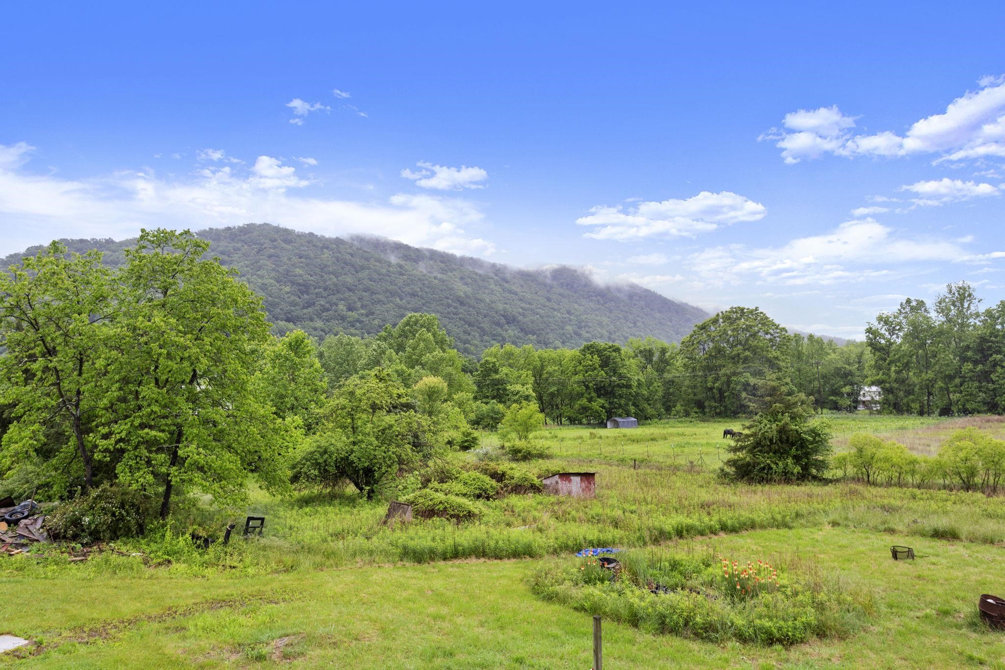 14623 Runions Creek Road Broadway, VA 22815 - Photo 30 of 30 a view of a green field with lots of bushes