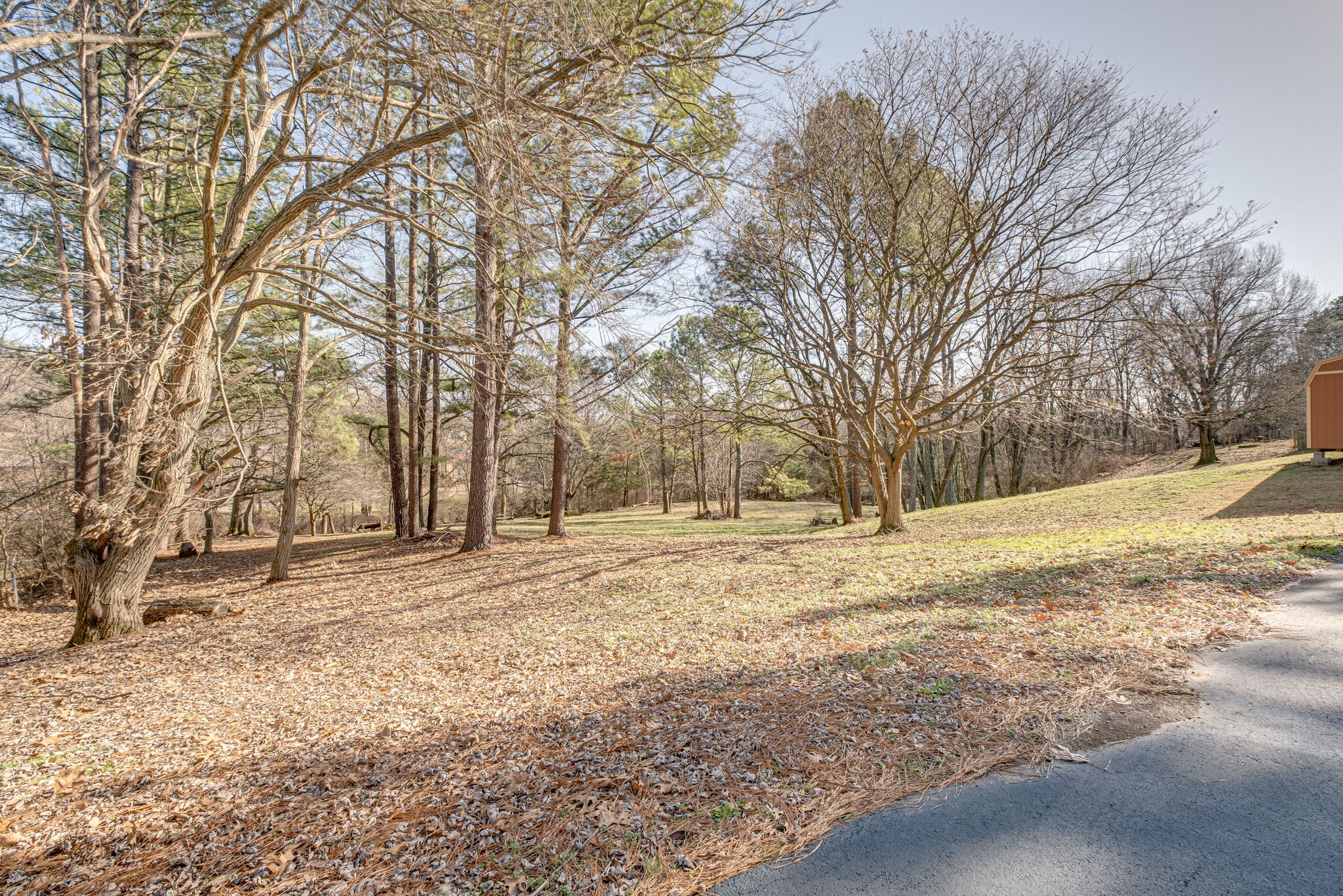 4840 Concord Drive Hermitage, TN 37076 - Photo 27 of 34 a view of a yard covered with snow in front of house