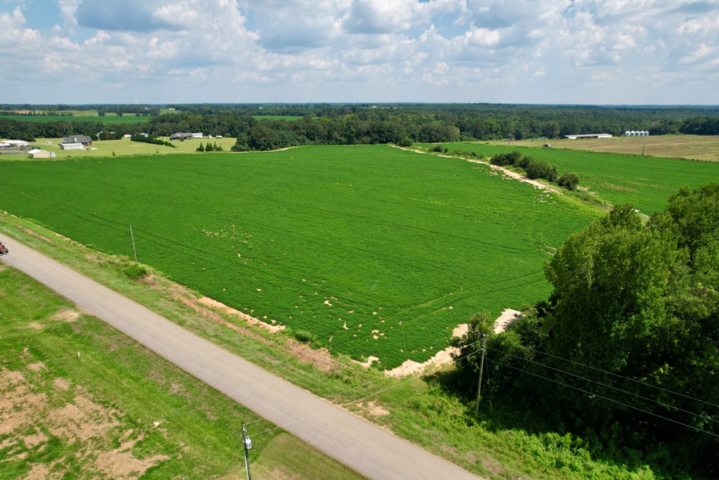 0 Judge Logue Road Newton, AL 36352 - Photo 2 of 10