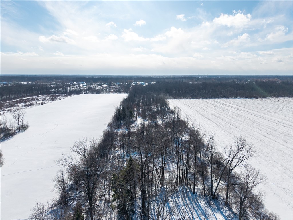 6779 Bear Ridge Road Pendleton, NY 14094 - Photo 35 of 36 Gallery Image 35