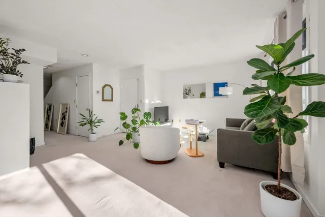 a living room with furniture and a potted plant