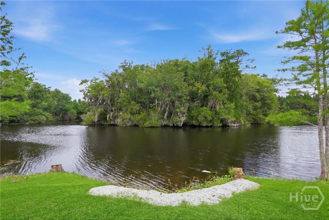 105 Aquaduct Drive Rincon, GA 31326 - Photo 6 of 44 Pond with island; perfect for fishing or kayaking!