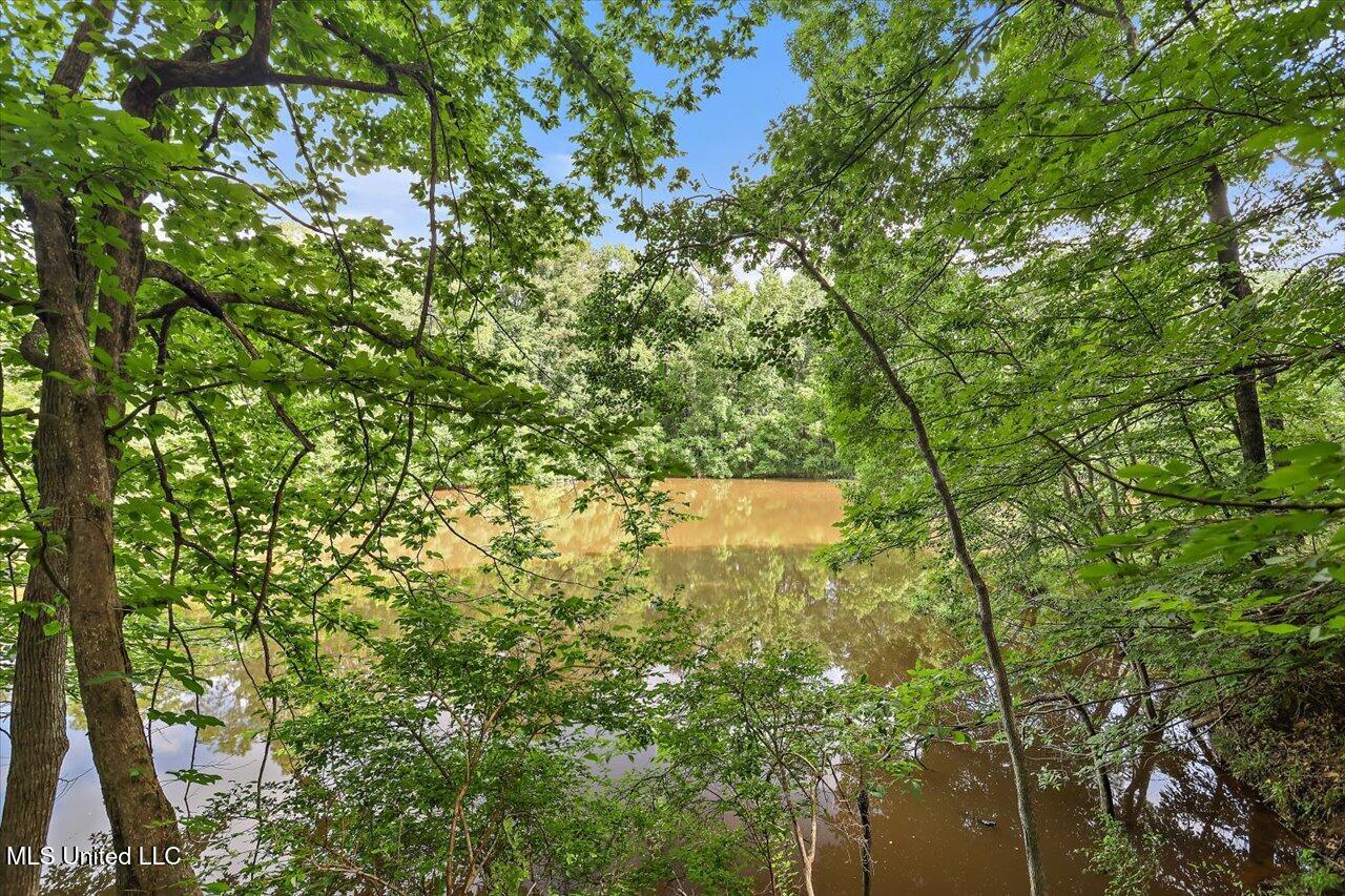 727 Laney Drive Clinton, MS 39056 - Photo 46 of 55 45-727 Laney Dr