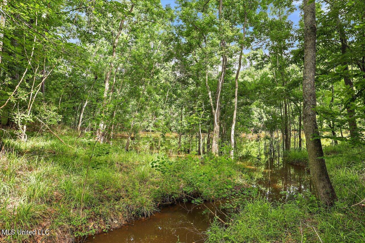 727 Laney Drive Clinton, MS 39056 - Photo 47 of 55 46-727 Laney Dr