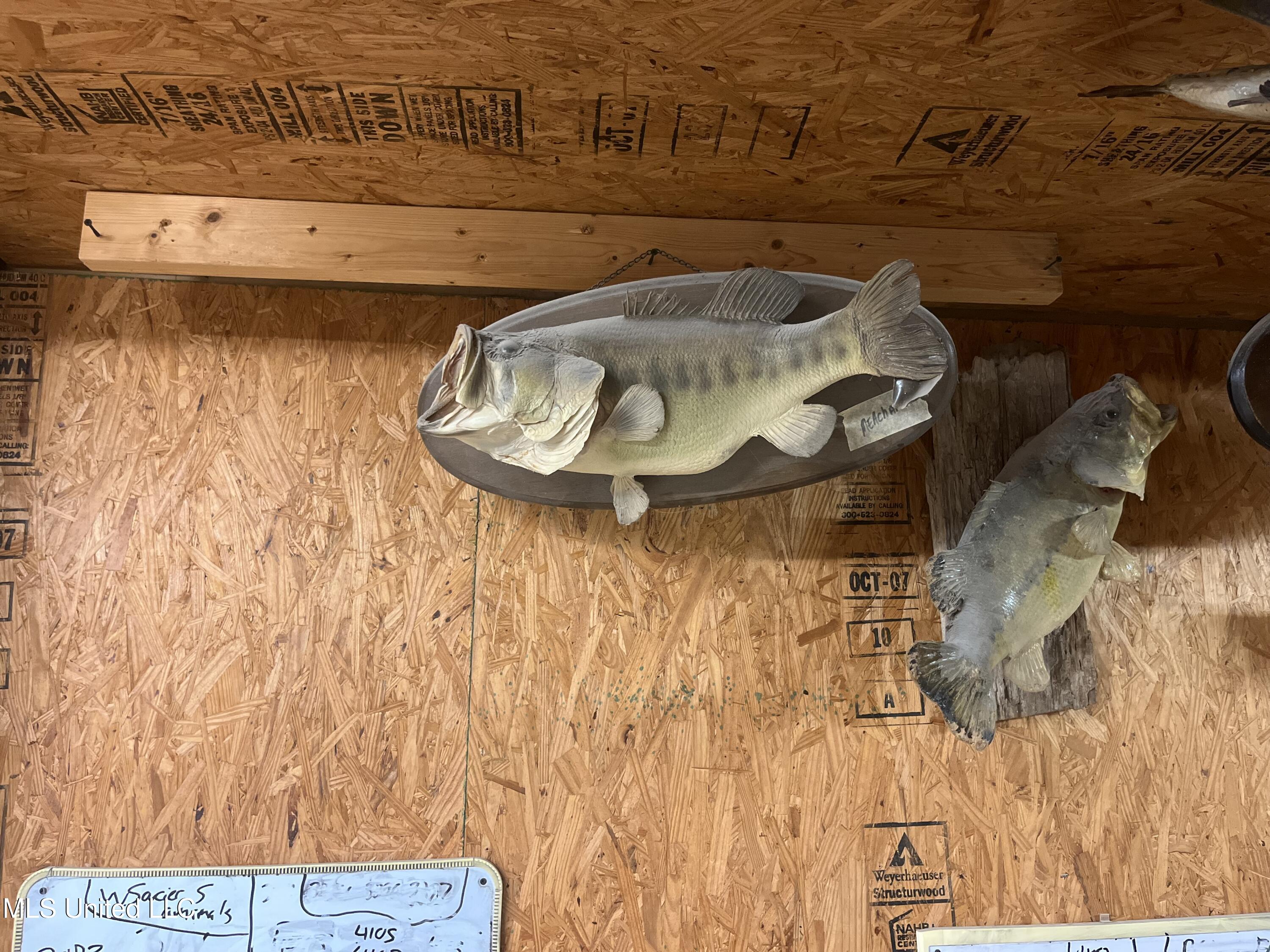 727 Laney Drive Clinton, MS 39056 - Photo 55 of 55 IMG_1450