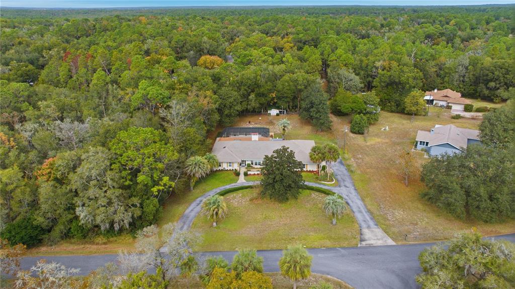 9825 Southwest 202nd Avenue Road Dunnellon, FL 34431 - Photo 13 of 69 an aerial view of residential houses with outdoor space