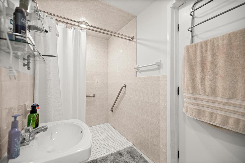 9825 Southwest 202nd Avenue Road Dunnellon, FL 34431 - Photo 43 of 69 a bathroom with a bathtub and a shower