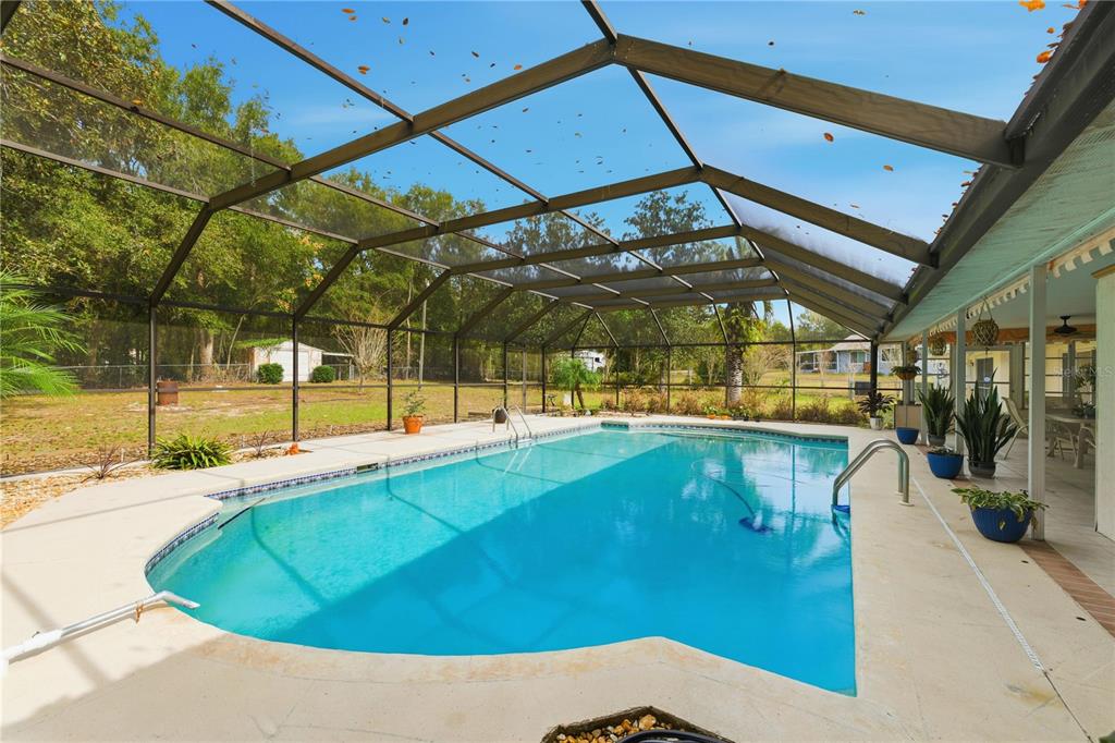 9825 Southwest 202nd Avenue Road Dunnellon, FL 34431 - Photo 48 of 69 a view of a swimming pool with a patio
