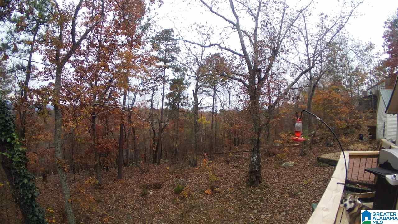 301 Laurel Springs Road Anniston, AL 36207 - Photo 50 of 50