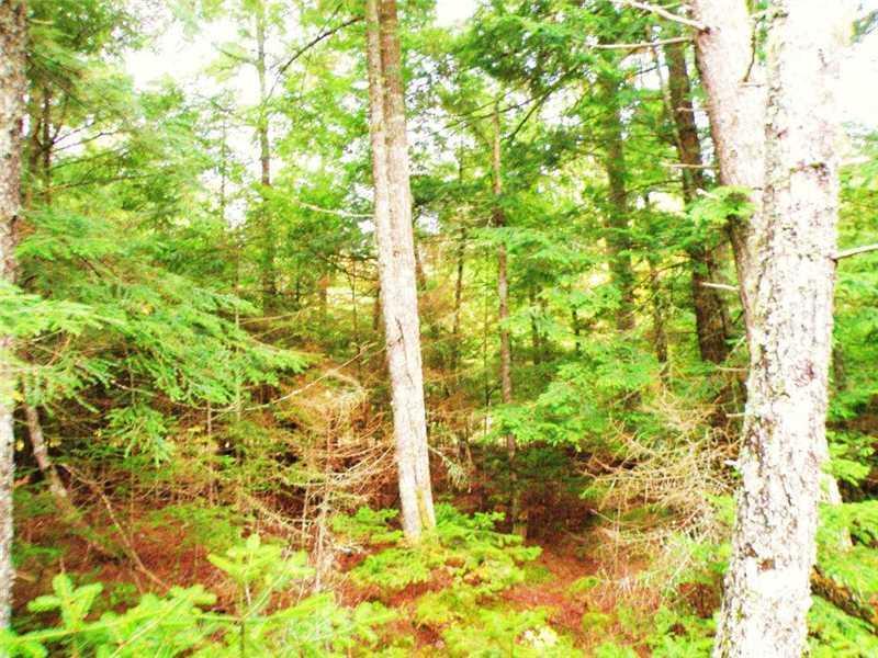 Lot 9 Lower Drew Road Kingman, ME 04451 - Photo 2 of 8 Land/Lot.