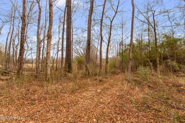 $240,000 | Mt Pilgrim Road, Camden, MS 39045