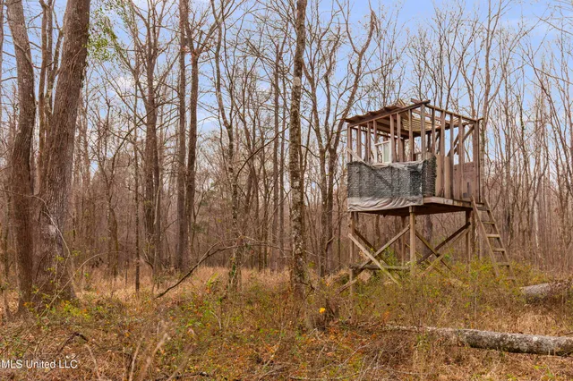 $240,000 | Mt Pilgrim Road, Camden, MS 39045