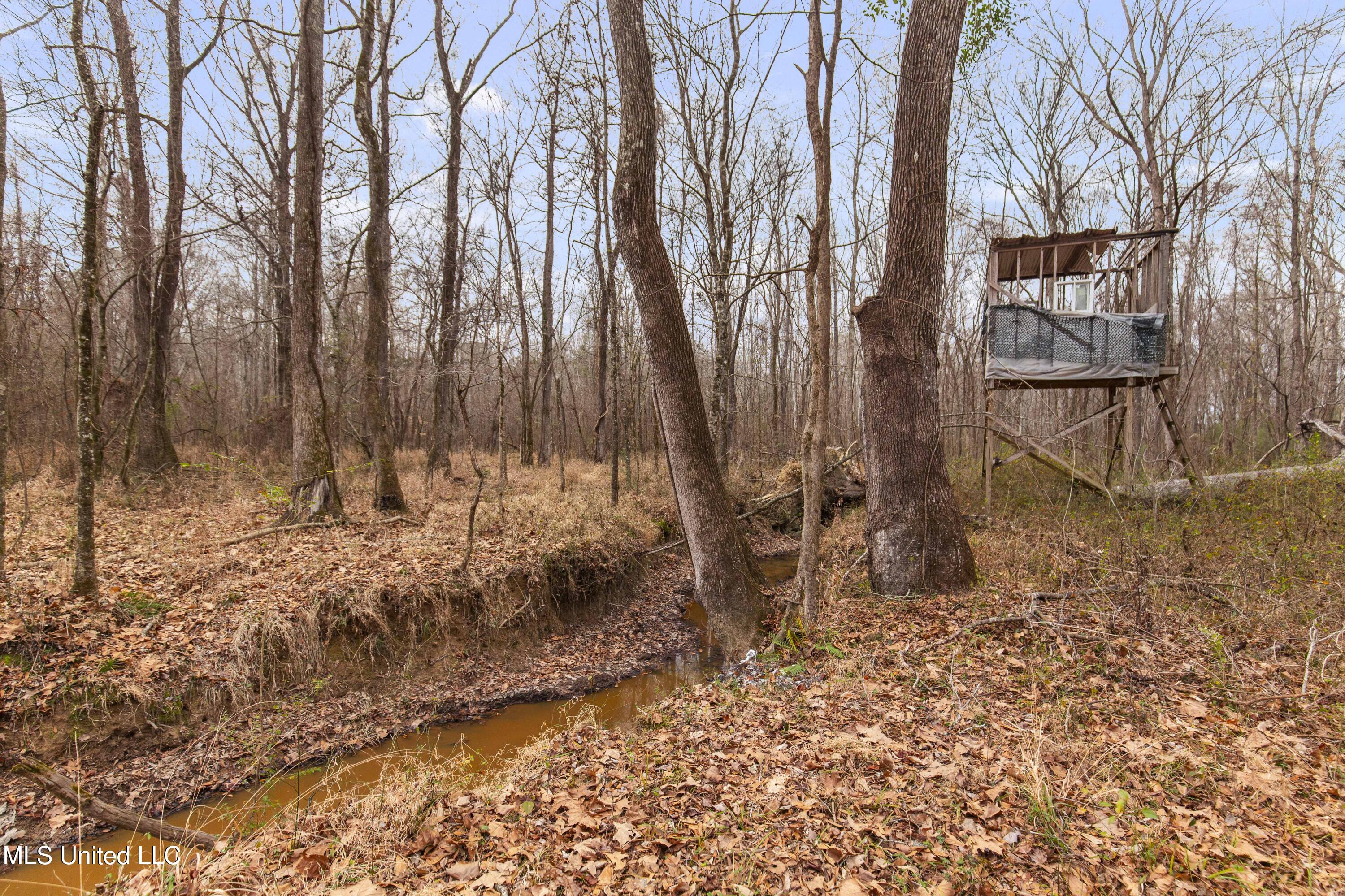 Mt Pilgrim Road Camden, MS 39045 - Photo 18 of 74 Camden-50 Acres-18