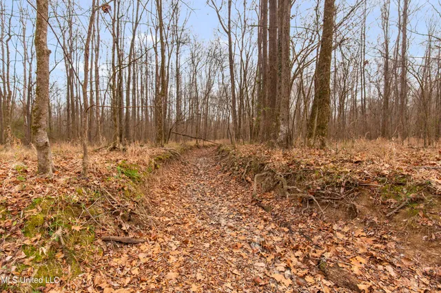 $240,000 | Mt Pilgrim Road, Camden, MS 39045