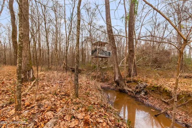 $240,000 | Mt Pilgrim Road, Camden, MS 39045