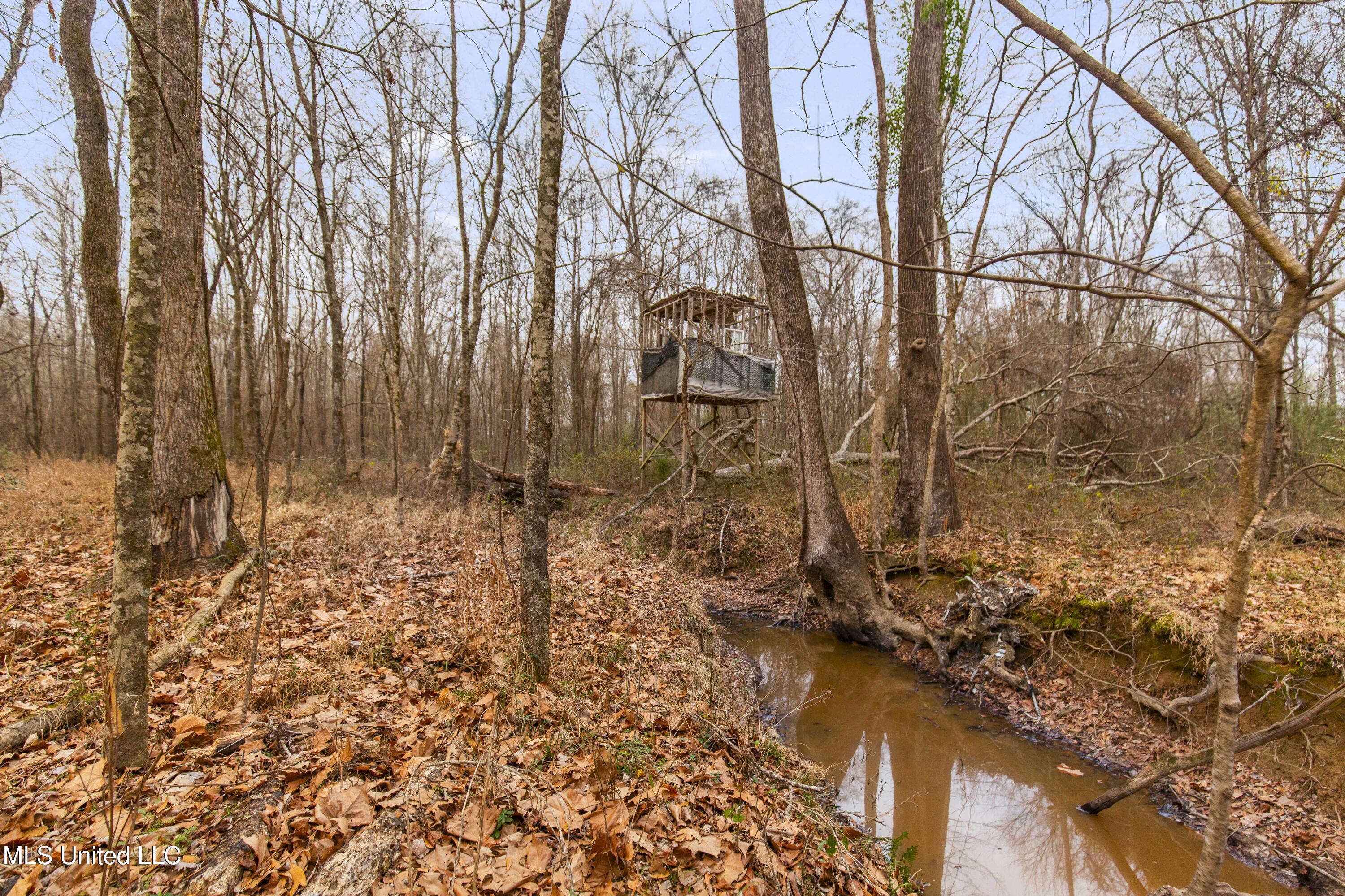 Mt Pilgrim Road Camden, MS 39045 - Photo 20 of 74 Camden-50 Acres-20