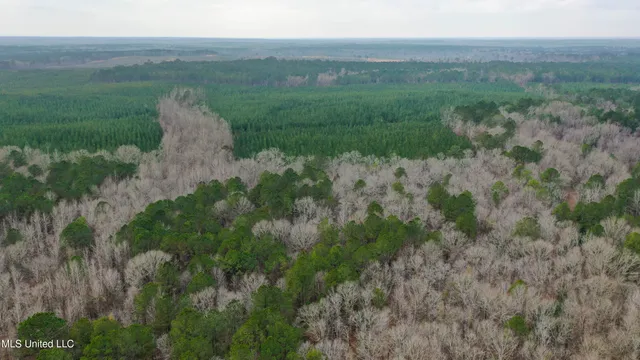 $240,000 | Mt Pilgrim Road, Camden, MS 39045