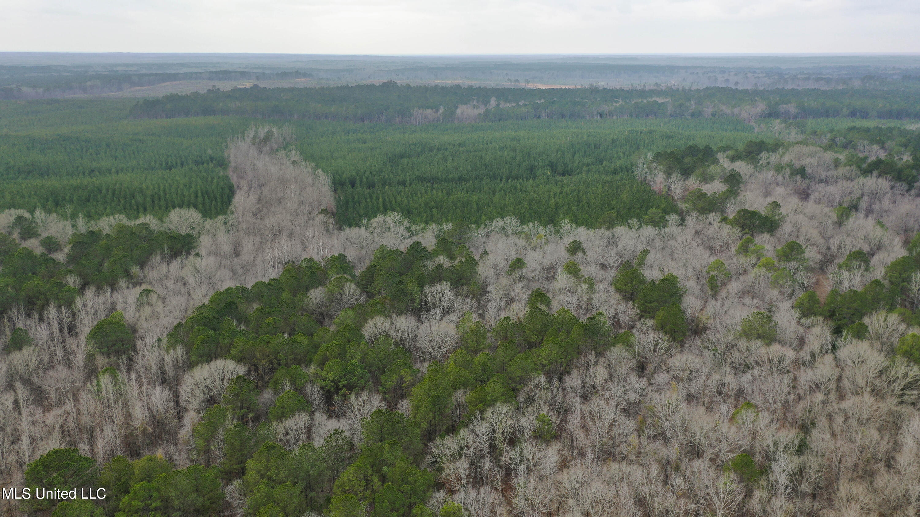 Mt Pilgrim Road Camden, MS 39045 - Photo 2 of 74 Camden-50 Acres-54