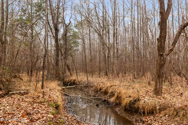 $240,000 | Mt Pilgrim Road, Camden, MS 39045