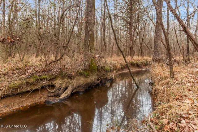 $240,000 | Mt Pilgrim Road, Camden, MS 39045