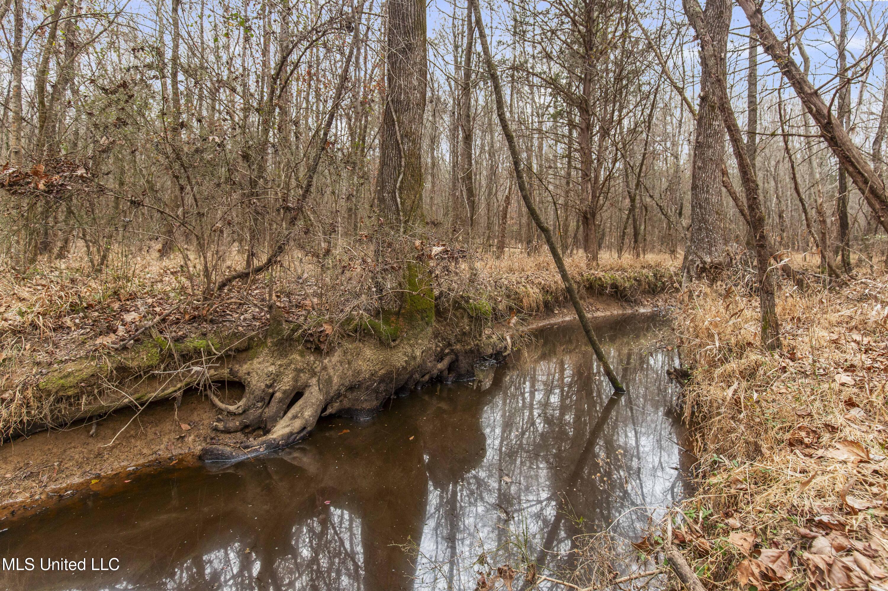 Mt Pilgrim Road Camden, MS 39045 - Photo 28 of 74 Camden-50 Acres-28