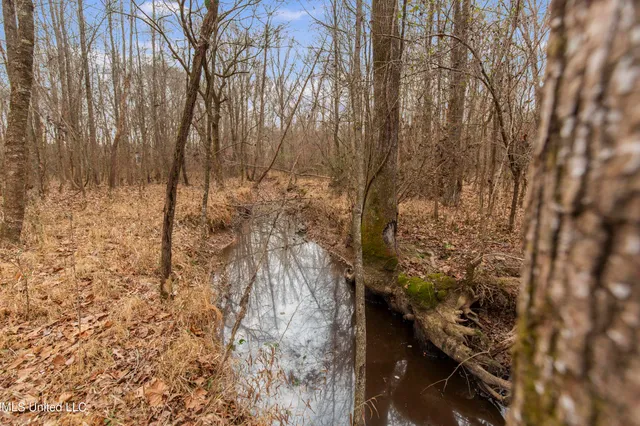 $240,000 | Mt Pilgrim Road, Camden, MS 39045