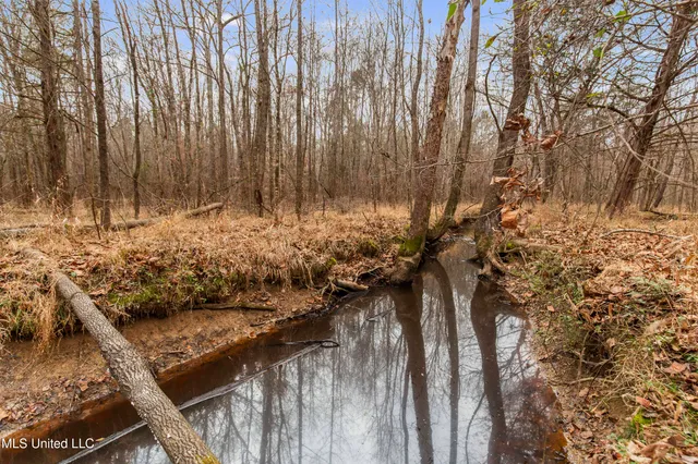 $240,000 | Mt Pilgrim Road, Camden, MS 39045