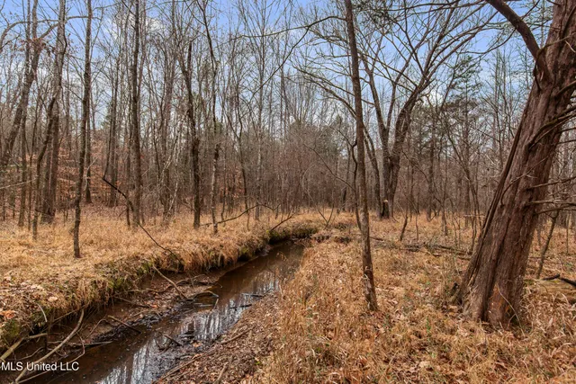 $240,000 | Mt Pilgrim Road, Camden, MS 39045