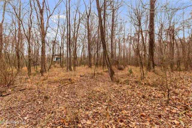 $240,000 | Mt Pilgrim Road, Camden, MS 39045